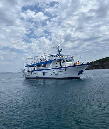 Ischia and Procida Group Boat Tour with Lunch on Board