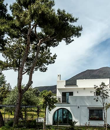 Private Lunch “At the Winemaker’s Home” at Cantina del Vesuvio: taste and tradition among the vineyards of Mount Vesuvius