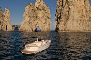 Private Boat Day Trip to Capri and Positano