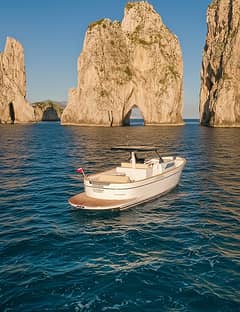 Private Boat Day Trip to Capri and Positano