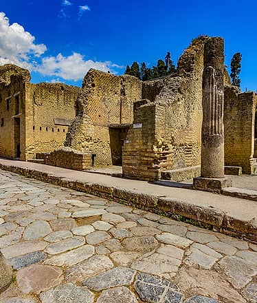 Tour Guidato di Ercolano, ingresso e pranzo leggero