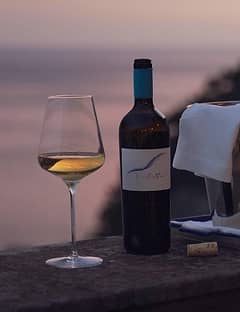 Degustazione di Vini con Vista Mare a Villa Magia Positano *****