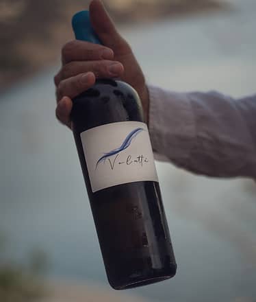 Degustazione di Vini con Vista Mare a Villa Magia Positano *****