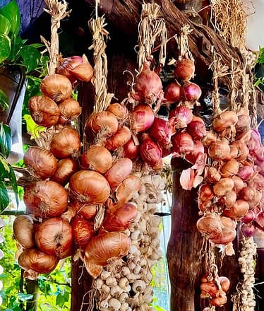 Sorrento Coast: E-Bike & Cooking Experience