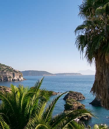 Tour of Capri and Ischia by motorboat