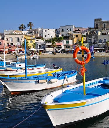 Tour of Capri and Ischia by motorboat