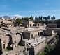 Herculaneum Experience, ticket & guide