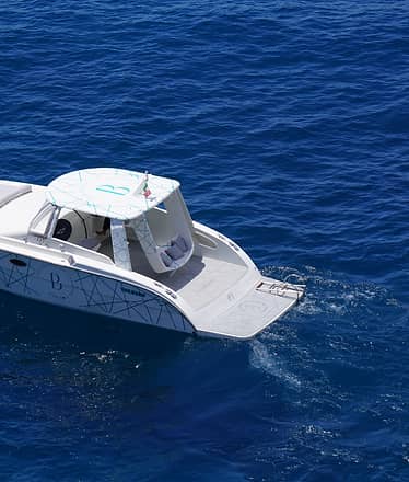 Capri Vibes: full-day island tour by boat