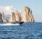 Luxury Experience: Exclusive Riva 44 Speedboat Transfer to and from Capri
