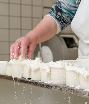 Mozzarella Experience +Cagliata Class: cheesemaking workshop