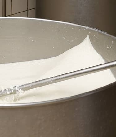 Mozzarella Experience +Cagliata Class: cheesemaking workshop