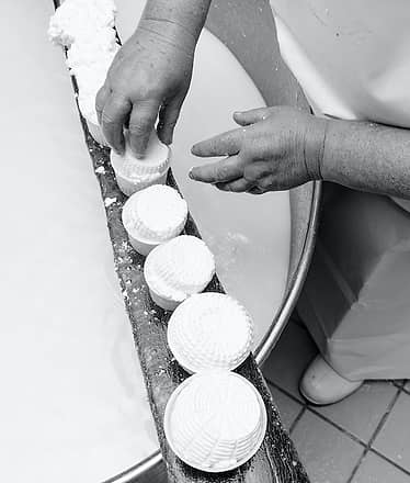 Mozzarella Experience +Cagliata Class: cheesemaking workshop