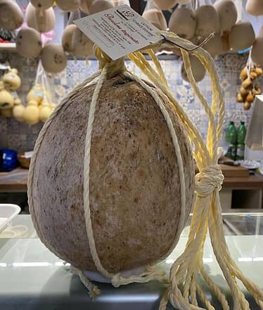 Artisanal dairy experience with tasting