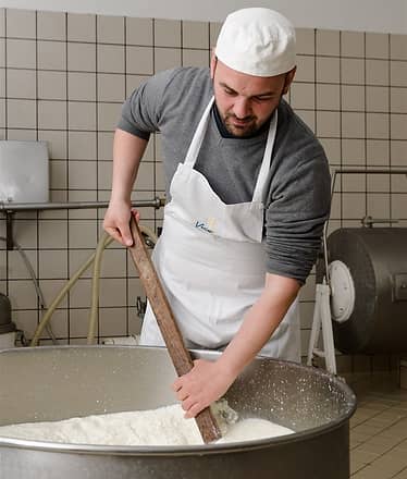 Artisanal dairy experience with tasting