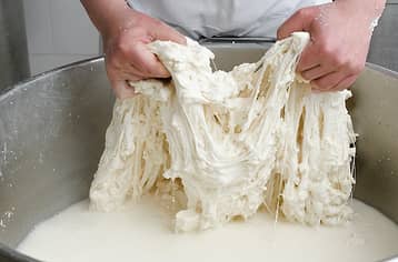 Artisanal dairy experience with tasting