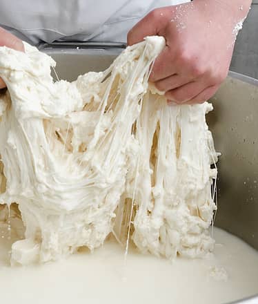 Artisanal dairy experience with tasting