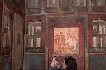 Pompeii archeological park with authorized guide (English)