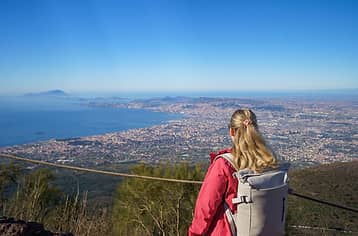 Tour saltacoda di Vesuvio e Pompei da Sorrento