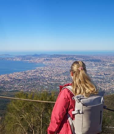 Tour saltacoda di Vesuvio e Pompei da Sorrento