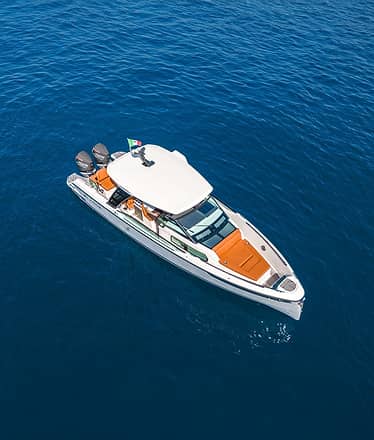 Luxury Tender
