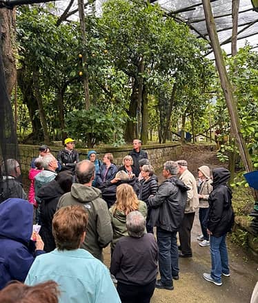 Nonno Mario Lemon Tour with Tasting