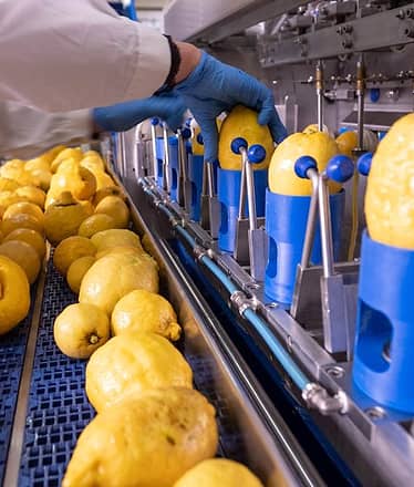 Nonno Mario Lemon Tour with Tasting