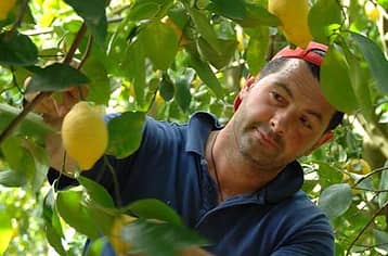 Nonno Mario Lemon Tour with Tasting