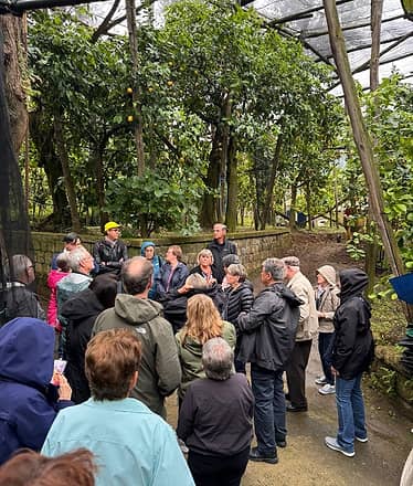 Zì Teresa Lemon Tour con Pranzo o Cena