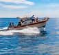 The best of Capri: boat tour for small groups