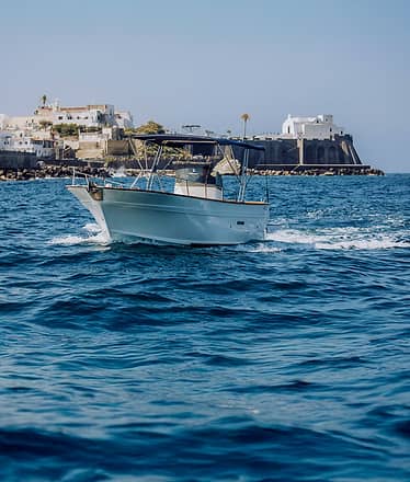 Ischia in barca: tour privato con skipper esperto