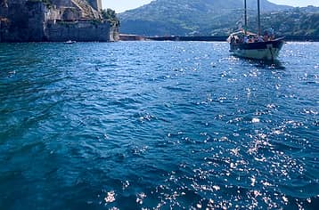 Procida in barca: tour di gruppo da Ischia con pranzo incluso