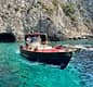 Day Tour of Capri  from  Amalfi, Positano, or Sorrento