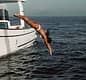 Full-day Capri Boat Tour on a Gozzo Amalfitano