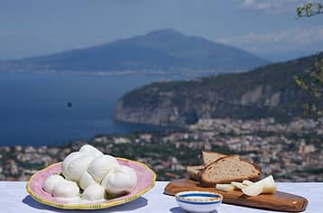 Sorrento: Farm-to-Table Pizza and Cheese-Making Class