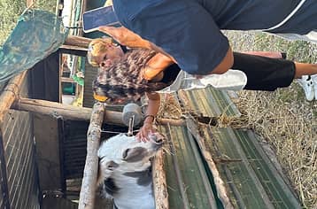 Tour in Fattoria a Sorrento: esperienza esclusiva con degustazioni