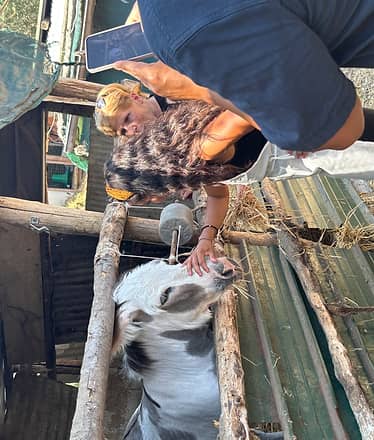 Tour in Fattoria a Sorrento: esperienza esclusiva con degustazioni