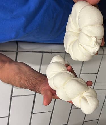 Tour in Fattoria a Sorrento: esperienza esclusiva con degustazioni