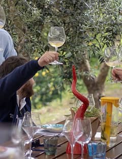 Gourmet experience in Sorrento with wine tasting and traditional lunch
