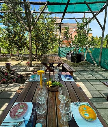 Gourmet experience in Sorrento with wine tasting and traditional lunch