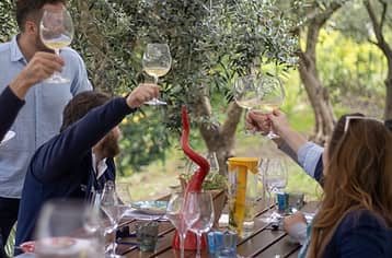 Gourmet experience in Sorrento with wine tasting and traditional lunch