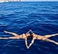 Capri Prestige: a special day by boat with caves, toasts and pure wonder