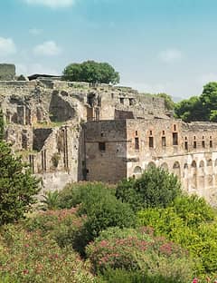 Tour guidato di Pompei ed Ercolano da Sorrento