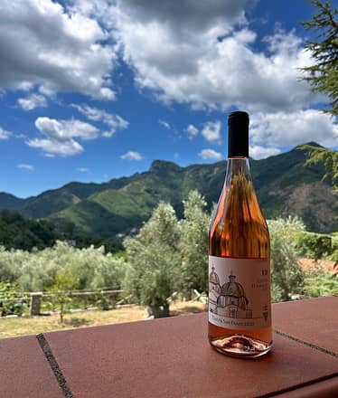 Tenuta di San Francesco, Tramonti - Wine Tour