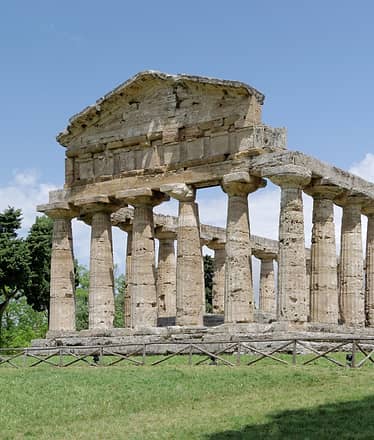Buffalo Tour - Paestum 