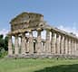 Buffalo Tour - Paestum 