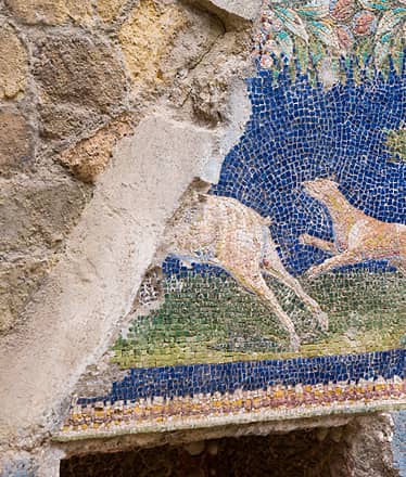 Ercolano da Sorrento: tour guidato tra rovine romane e tesori Unesco