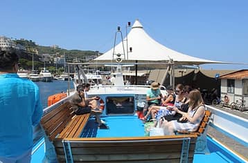 Panoramic Mini Cruise from Sorrento to Amalfi and Positano by Sea
