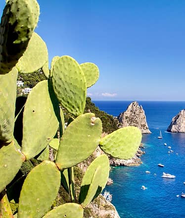 Escursione in Barca Privata tra Costiera Amalfitana e Capri