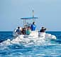 Noleggio Gommone a Capri con Patente Nautica