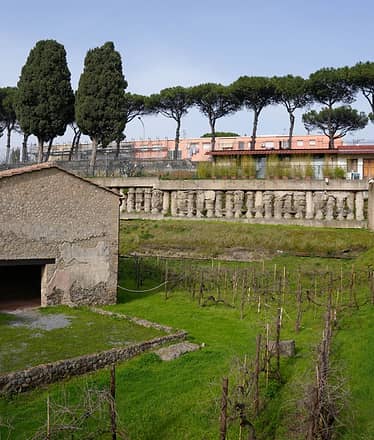 Tour Privato Eco-Vesuviano con Pranzo a Km 0: Archeologia e Sostenibilità (Accessibile PMR)